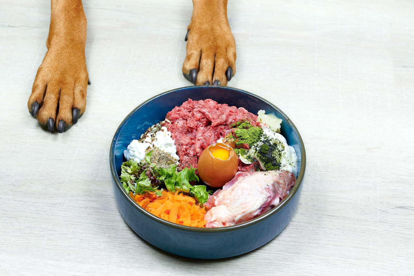 Napf mit frischem BARF-Futter